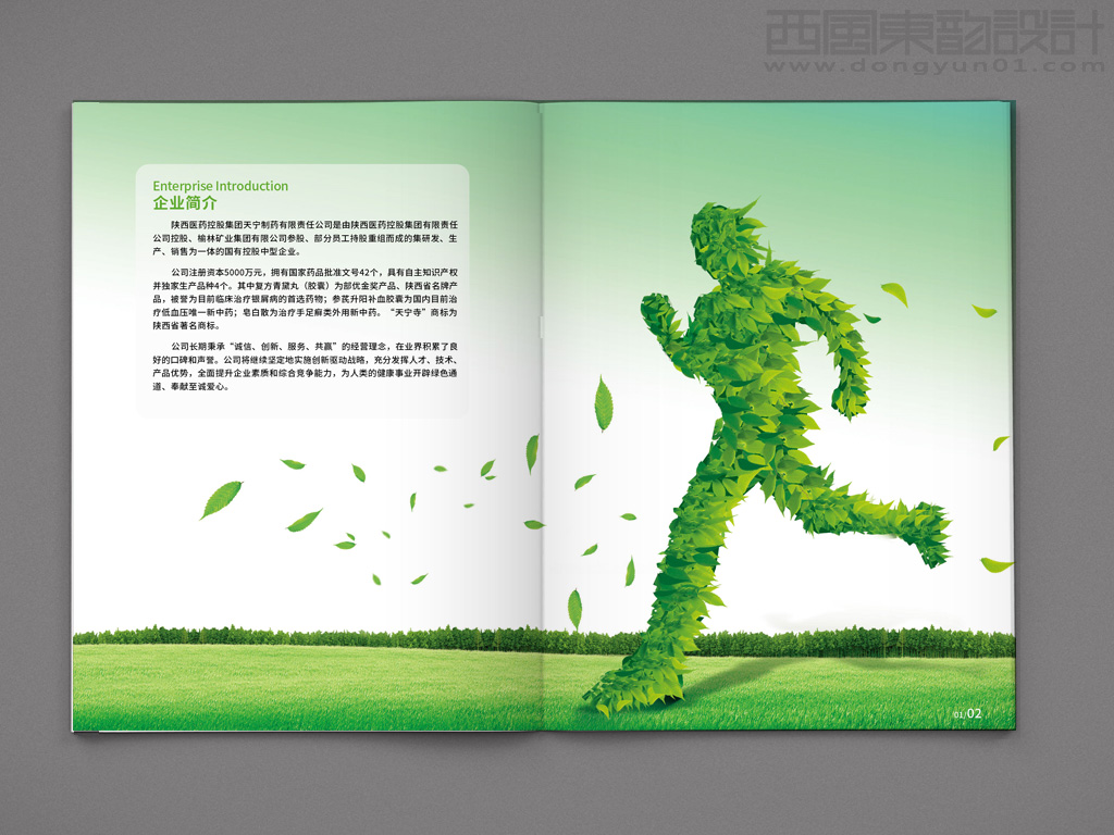 陜西醫(yī)藥控股集團天寧制藥有限責任公司系列藥品包裝設計之產(chǎn)品手冊內(nèi)頁設計