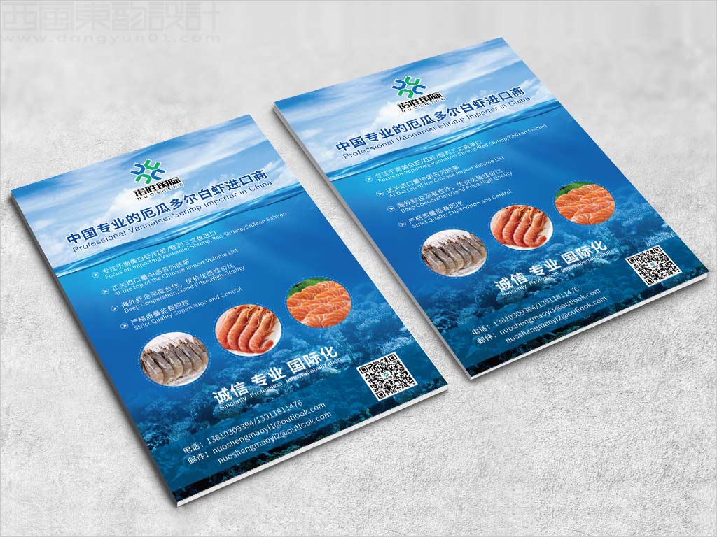 河北任丘市諾勝進出口貿(mào)易有限公司宣傳彩頁設(shè)計 河北任丘市諾勝進出口貿(mào)易有限公司宣傳彩頁設(shè)計