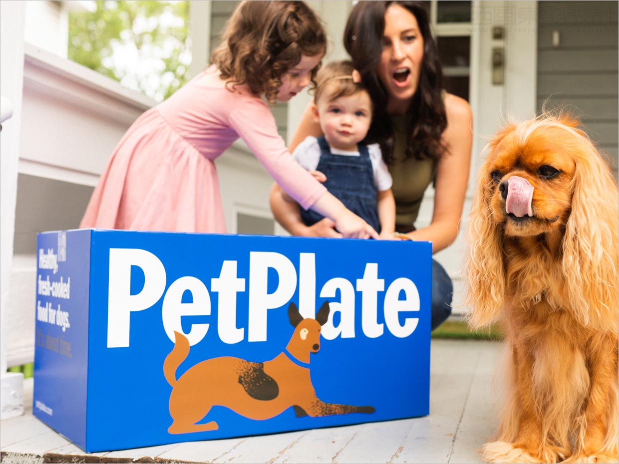Pet Plate寵物食品包裝設(shè)計之實(shí)物攝影照片