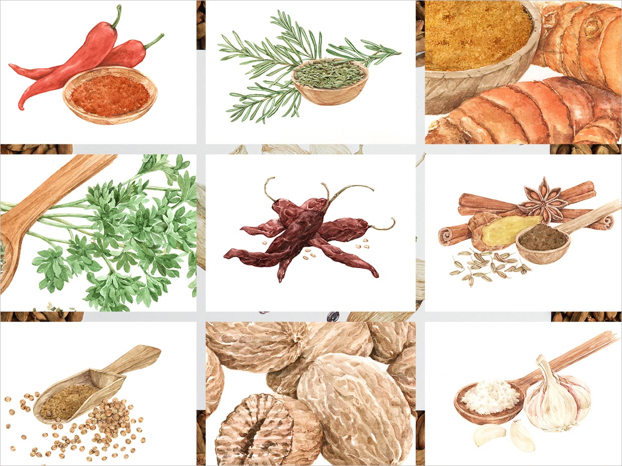 印度尼西亞Koepoe Koepoe調(diào)味料瓶簽包裝設計之插畫設計
