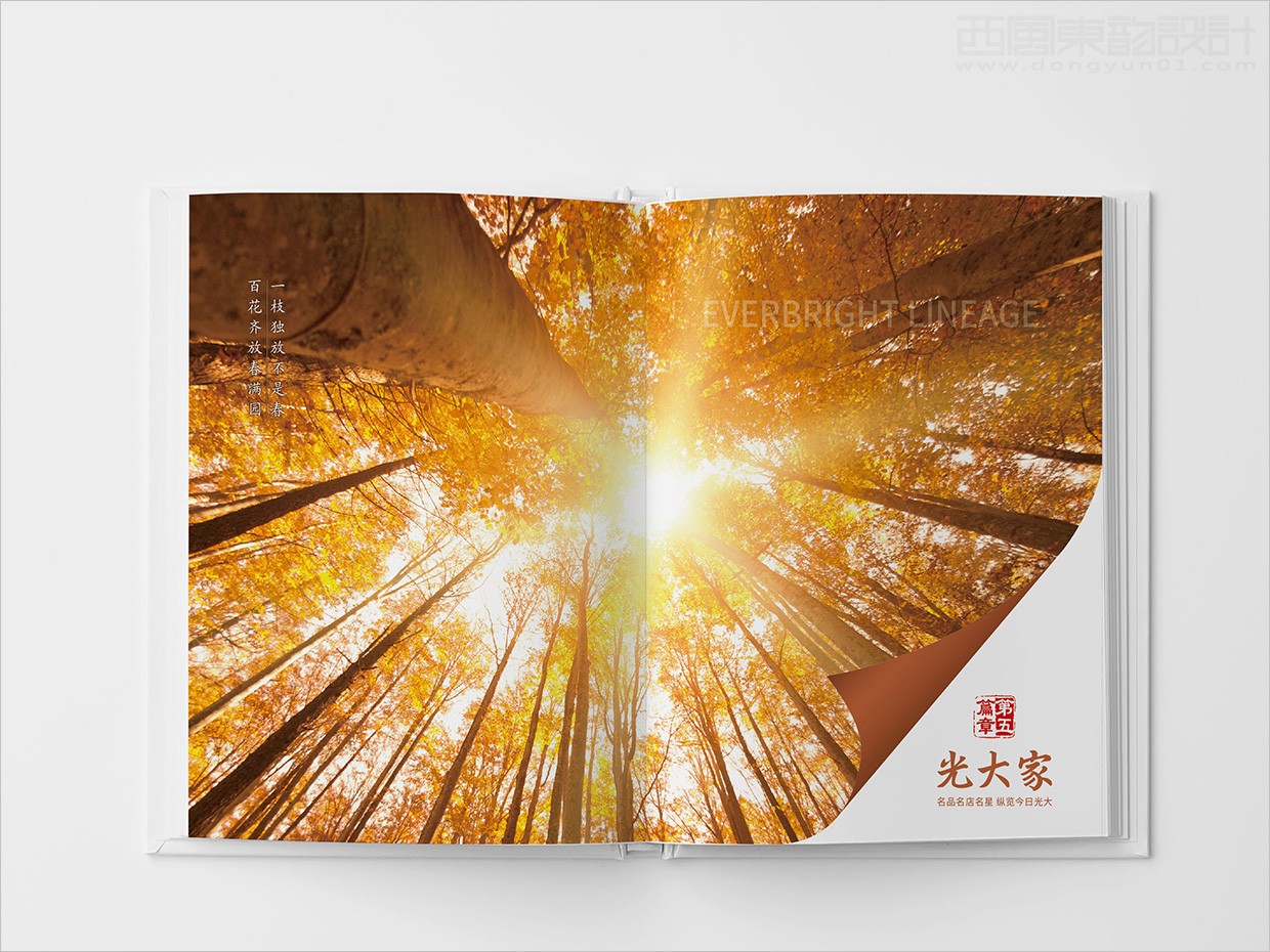 中國光大集團畫冊設計之畫冊內(nèi)頁設計