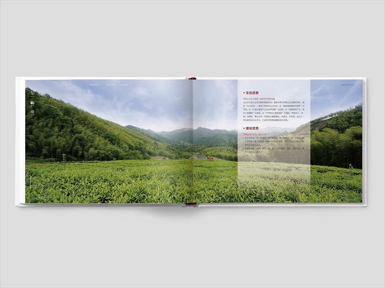 理想華萊科技集團(tuán)公司畫冊設(shè)計(jì)之文化優(yōu)勢頁面設(shè)計(jì)