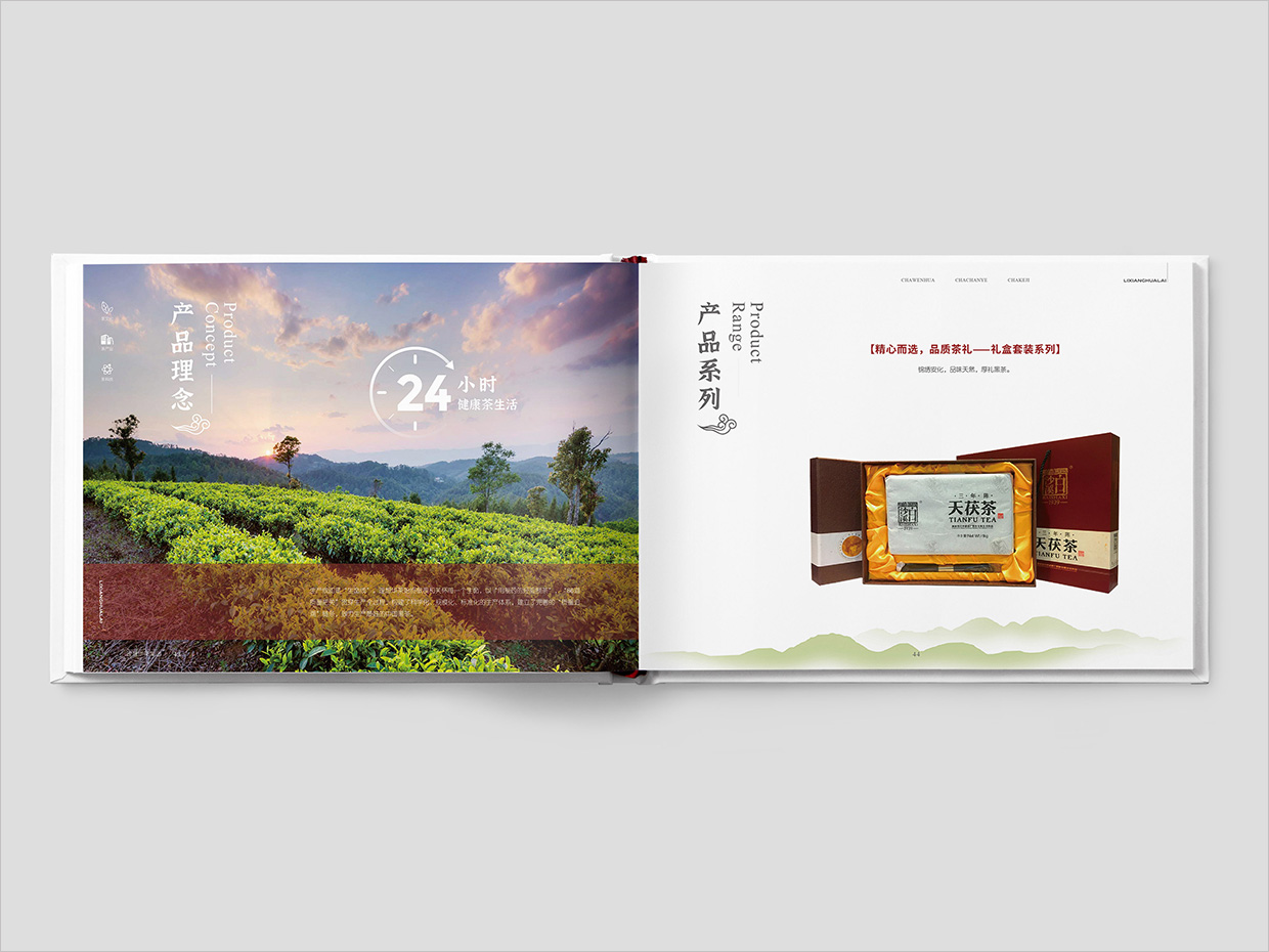 理想華萊科技集團(tuán)公司畫冊設(shè)計(jì)之產(chǎn)品介紹頁面設(shè)計(jì)